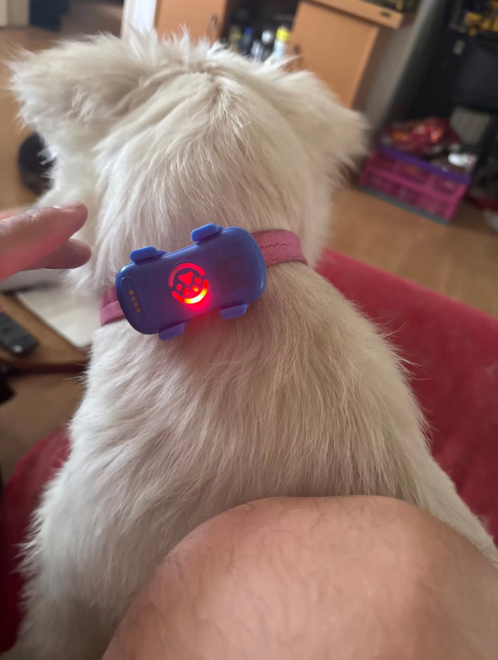 Customer enjoying time outdoors after achieving smooth skin with SilkGlow