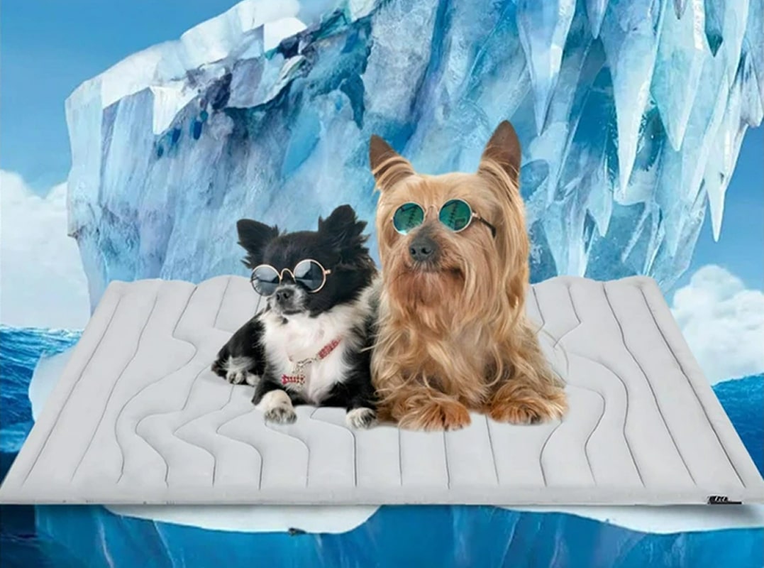 Peaceful sleeping dog on cooling mat after hours of use showing sustained comfort and effectiveness