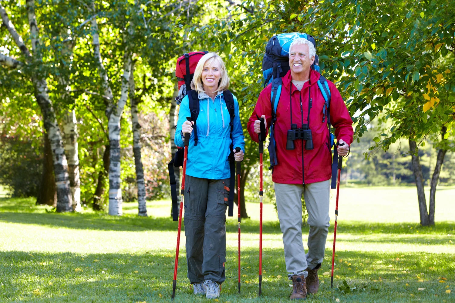 Professional testing setup showing multiple walking sticks with seats arranged on outdoor terrain with measurement equipment and testing gear