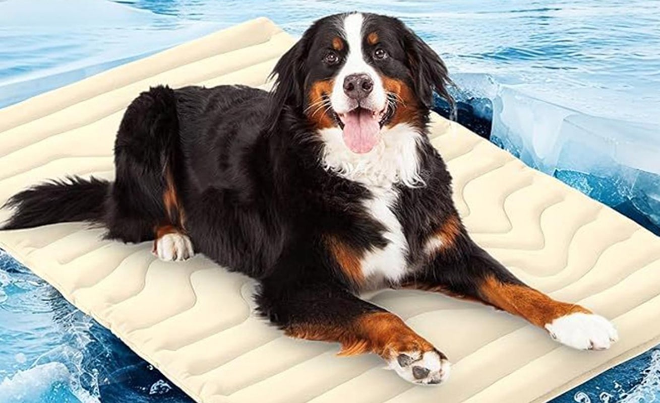 Comfortable relaxed dog using ChillPaws mat showing improved wellbeing peaceful rest and contentment
