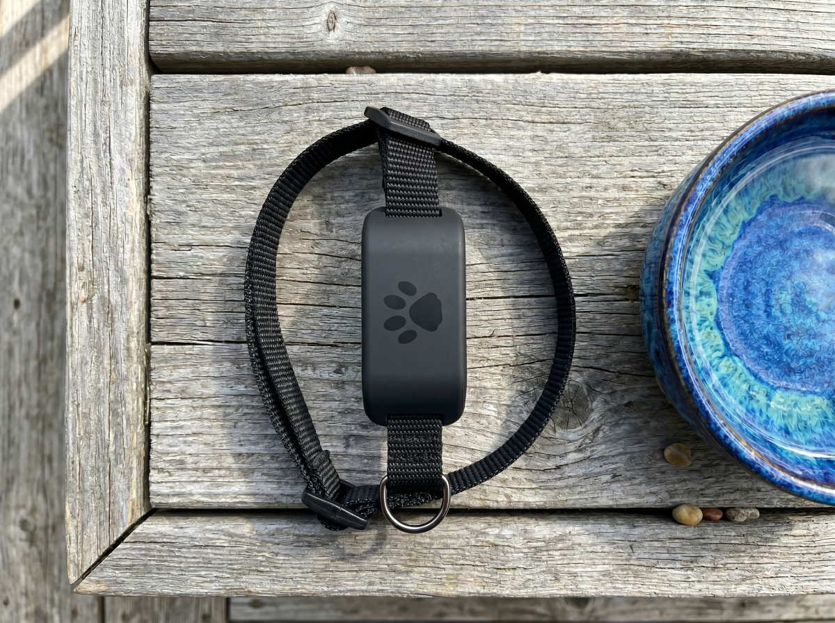 Weatherproof & Cat-Safe