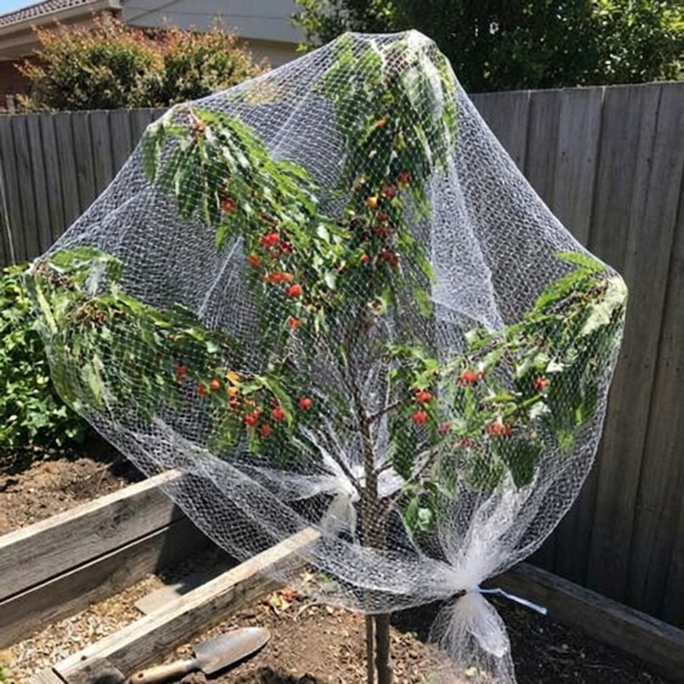 @green_thumb_ca